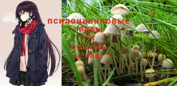 таблы Богородицк