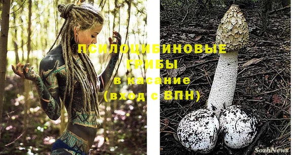мет Богданович