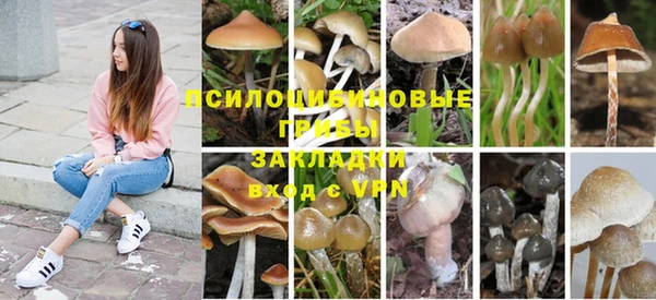 таблы Богородицк