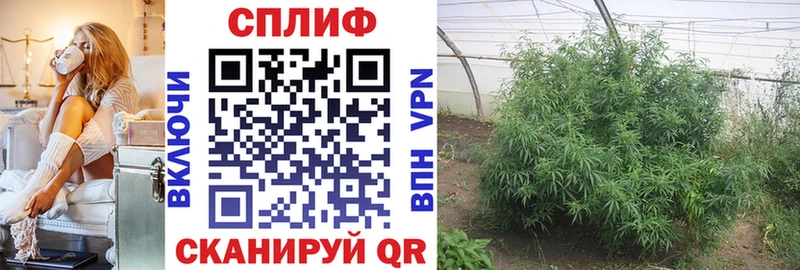 Бошки марихуана Bruce Banner  Иноземцево 